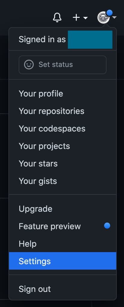 Git Settings